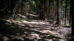 IMG_20170622_112431_HDR