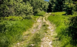 IMG_20170622_121041_HDR