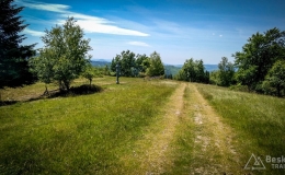 IMG_20170622_122403_HDR