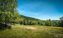 IMG_20170622_122428_HDR