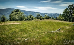 IMG_20170622_122434_HDR