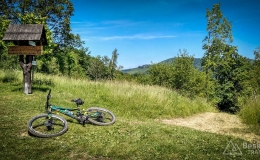 IMG_20170622_130240_HDR