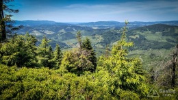 IMG_20170622_141234_HDR