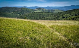 IMG_20170622_144619_HDR