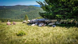 IMG_20170622_144722_HDR