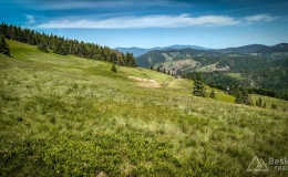 IMG_20170622_144727_HDR