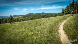 IMG_20170622_145950_HDR