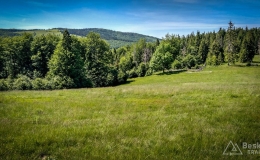 IMG_20170622_145952_HDR