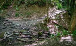 IMG_20170622_150948_HDR