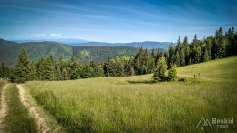 IMG_20170622_171740_HDR