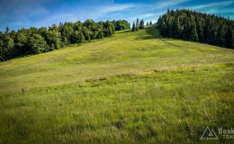 IMG_20170622_171749_HDR