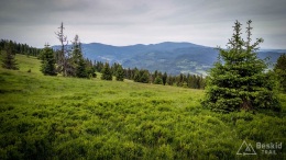 IMG_20170622_183532_HDR