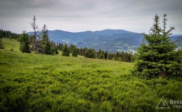 IMG_20170622_183532_HDR