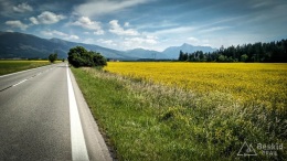 IMG_20170625_102205_HDR