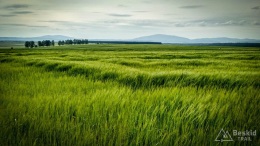 IMG_20170625_174013_HDR