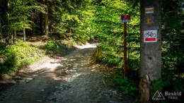 IMG_20170603_101558_HDR