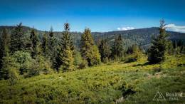 IMG_20170603_103747_HDR