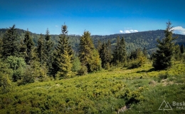 IMG_20170603_103747_HDR