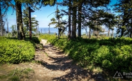 IMG_20170603_112031_HDR