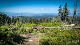 IMG_20170603_112045_HDR