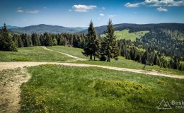 IMG_20170603_112738_HDR