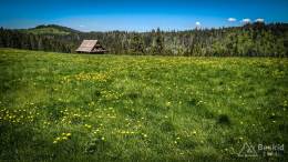 IMG_20170603_113038_HDR