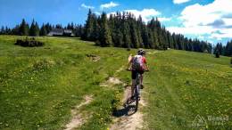 IMG_20170603_113151_HDR