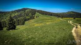 IMG_20170603_113247_HDR