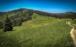 IMG_20170603_113247_HDR