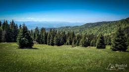 IMG_20170603_113251_HDR