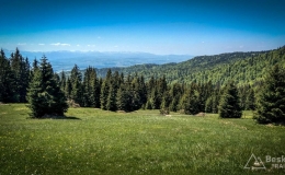 IMG_20170603_113251_HDR
