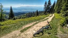 IMG_20170603_114234_HDR