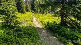 IMG_20170603_114648_HDR