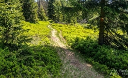 IMG_20170603_114648_HDR