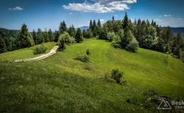 IMG_20170603_121120_HDR