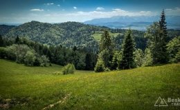IMG_20170603_121125_HDR