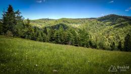 IMG_20170603_121206_HDR