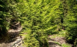 IMG_20170603_125409_HDR
