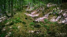 IMG_20170603_131042_HDR