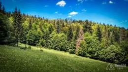 IMG_20170603_132133_HDR