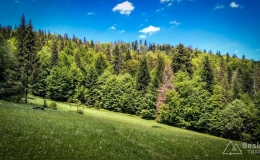 IMG_20170603_132133_HDR