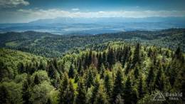 IMG_20170603_134934_HDR