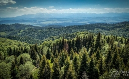 IMG_20170603_134934_HDR