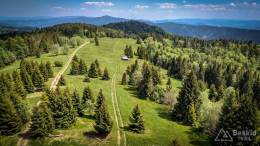 IMG_20170603_134954_HDR