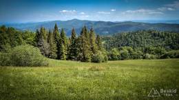 IMG_20170603_141919_HDR