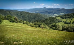 IMG_20170603_142459_HDR