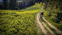 IMG_20170603_155725_HDR