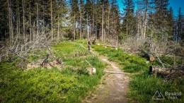 IMG_20170603_160805_HDR