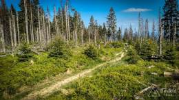 IMG_20170603_162042_HDR