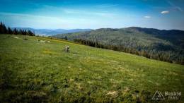 IMG_20170603_162301_HDR